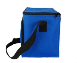 600D Insulated 24 Cans Cooler Bag