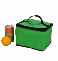 600D Custom Cooler Bag with Two Handles