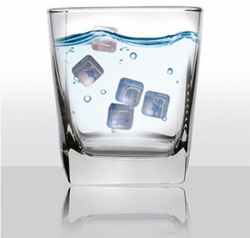 Plastic Ice Cube with Printed Label inside